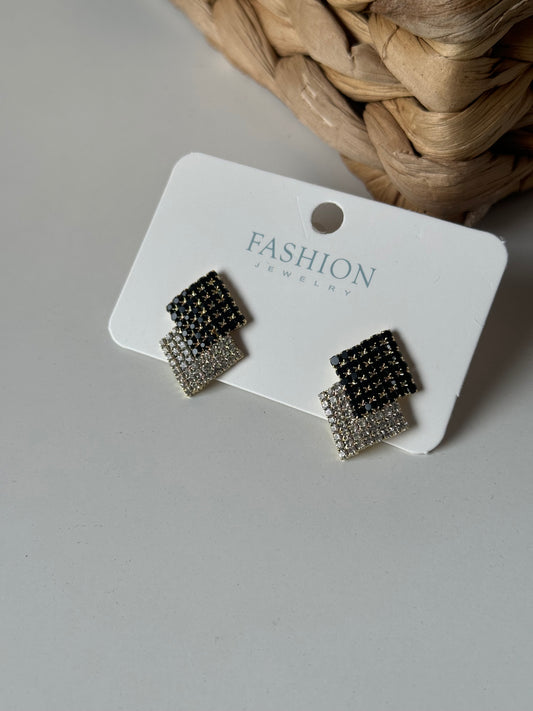Elegant Black & Silver Earrings